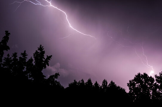 Bright lightning strike over a dark forest
