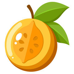 vector illustration of an orange
