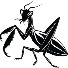 Black and White Praying Mantis - Insect Silhouette