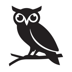 owl on white background