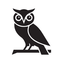 owl on a white background