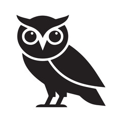 owl on white background