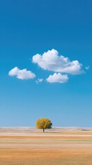 Golden Baobab Tree in Vast African Savanna under a Blue Sky