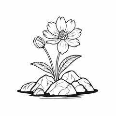 Flower Growing In Rock Image Vector isolated on white Background.