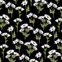 Pattern with white daisies.Vector seamless pattern with white daisies on a black background.