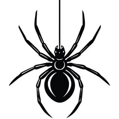 Creepy black widow spider on a web, an isolated arachnid of nature, perfect for a scary Halloween illustration