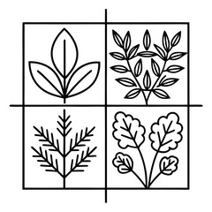 Black and White Line Art of Various Kitchen Herbs – Minimalist Vector Illustration of Culinary Plants like Basil, Rosemary, Thyme, and Parsley – Isolated Botanical Sketch Set