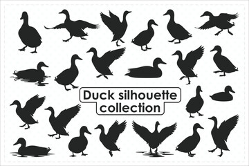 Duck silhouette collection of flying, swimming, standing, walking etc. ducks in flat black farm bird silhouettes.