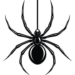 Creepy black widow spider on a web, an isolated arachnid of nature, perfect for a scary Halloween illustration