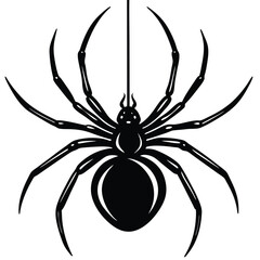 Creepy black widow spider on a web, an isolated arachnid of nature, perfect for a scary Halloween illustration
