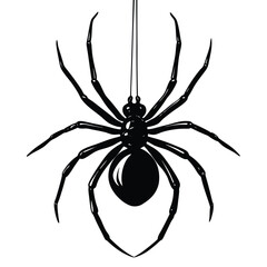 Creepy black widow spider on a web, an isolated arachnid of nature, perfect for a scary Halloween illustration