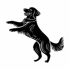 Black and white Golden Retriever Dog Dancing Vector image isolated on white background.