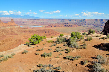 Dead Horse Ranch State Park  of Arizona, United States, on the Verde River