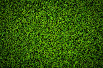 Vibrant Green Grass Texture: Lush, Spring-like, Natural Background Image