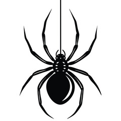 Creepy black widow spider on a web, an isolated arachnid of nature, perfect for a scary Halloween illustration