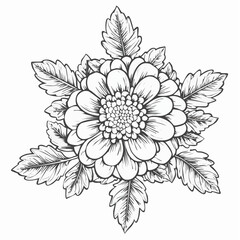 Marigold flower with leaf image vector isolated on white background.