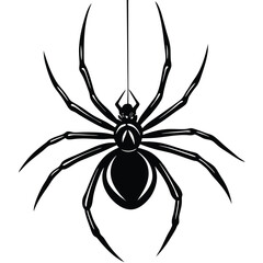 Creepy black widow spider on a web, an isolated arachnid of nature, perfect for a scary Halloween illustration