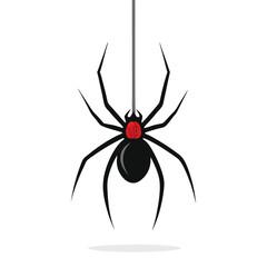 Creepy black widow spider on a web, an isolated arachnid of nature, perfect for a scary Halloween illustration