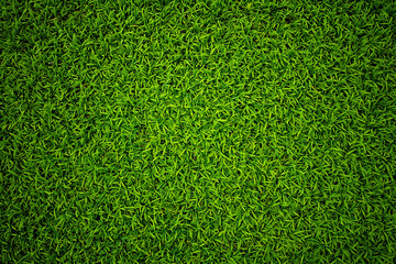 Vibrant Green Grass Texture: Lush, Spring-like, Natural Background Image