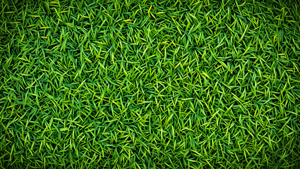 Vibrant Green Grass Texture: Lush, Spring-like, Natural Background Image