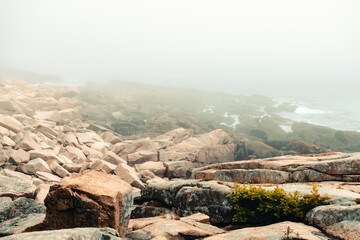 Ocean Path Trail in Acadia National Park