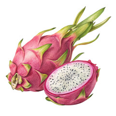Watercolor Dragon Fruit Illustration Whole and Halved, Isolated on Transparent Background, Pitaya, Tropical Fruit, Pitaya, Watercolor, Fruit