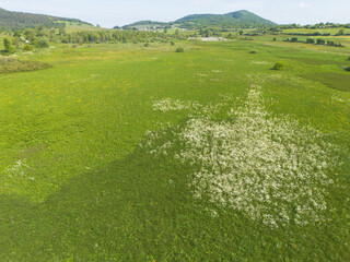 Situé sur les communes d'Aranc et de Corlier, sur le plateau d'Hauteville, le Marais en Jarine est constitué de prairies humides, tourbières, milieux marécageux et boisements humides.