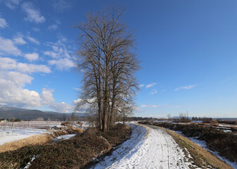 Snow road melting in the spring sunrays