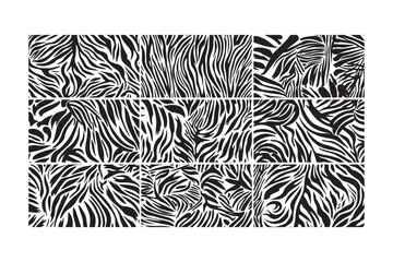 Seamless Zebra Print Pattern Set Bold Black and White Animal Skin Textures for Fabric, Wallpaper and Design