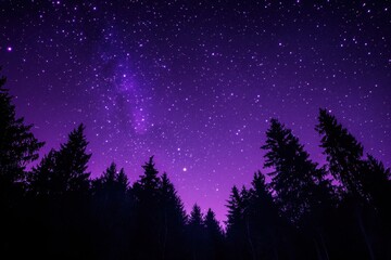 Stunning Dark Purple Sky Adorned with Twinkling Stars Over a Serene Forest Landscape