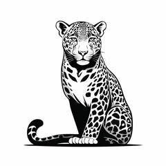 Jaguar Image vector. Spotted Jaguar Sitting Vector Image on white background.