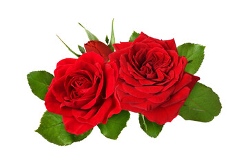 Red roses with green leaves and bud in a beautiful floral arrangement isolated on white or transparent background