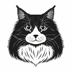 Black and white Norwegian Forest Cat Vector Image isolated on white background.