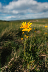 20250515-151436-untitled.ARW