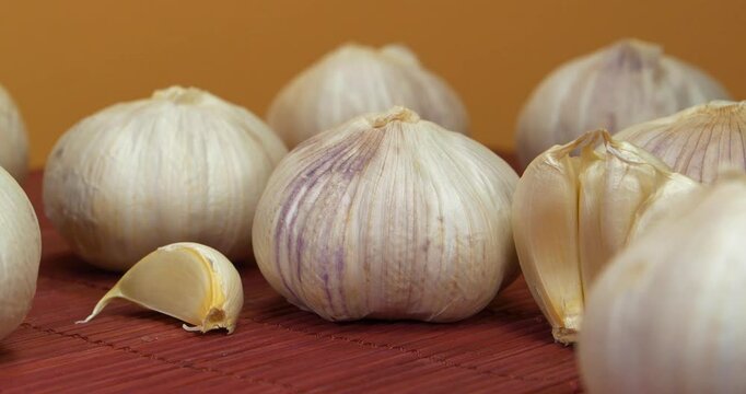 Garlic rotates on yellow background. Garlic, Allium sativum, species of bulbous flowering plants in genus Allium. Garlic - very healthy product with many beneficial properties for health