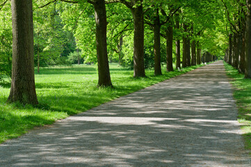 park alley perspective