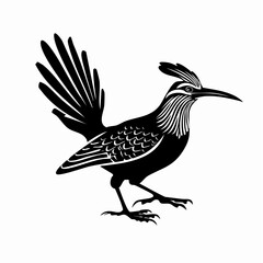Fototapeta premium Roadrunner vector illustration. Roadrunner silhouette vector illustration