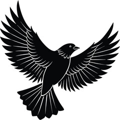 Obraz premium Black Silhouette Bird in Flight Wings Spread Wide Detailed Feathers vector