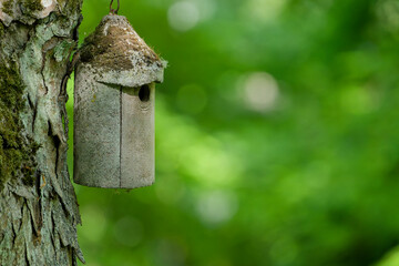 concrete bird house