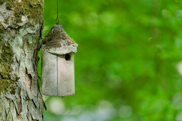 concrete bird house