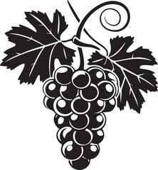 Black silhouette of grapes with leaves vector illustration