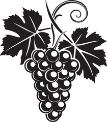 Black silhouette of grapes with leaves vector illustration