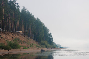 Tall straight pines line steep sandy embankment along calm river, soft early light reveals misty...