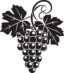 Black silhouette of grapes with leaves vector illustration