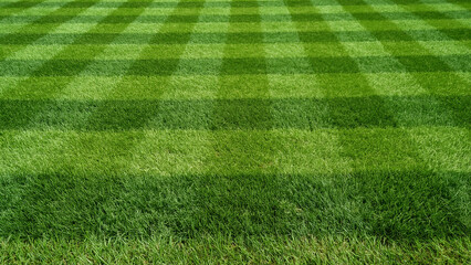 Lush green lawn striped pattern green grass stripes
