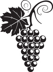Black silhouette of grapes with leaves vector illustration