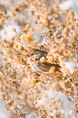 20250126-135744-untitled.ARW