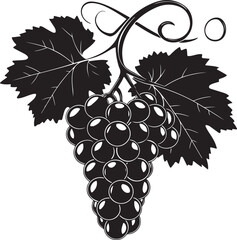 Black silhouette of grapes with leaves vector illustration