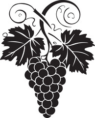 Black silhouette of grapes with leaves vector illustration