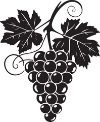 Black silhouette of grapes with leaves vector illustration